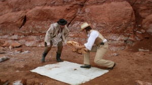Darwin_050.jpg