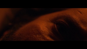 Chimera (Trailer).mp40018.jpg
