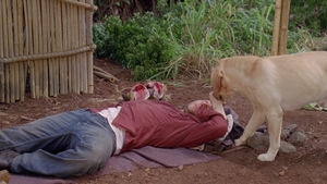 S06E17_037.jpg