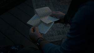 3.08-09 Paiges pages-01.png