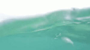 tumblr_mv7e2gqmLG1swjt6no3_250.gif