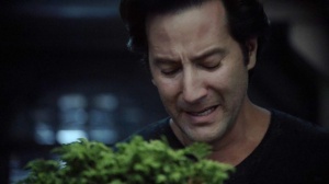 normal_the100_107_1228.jpg
