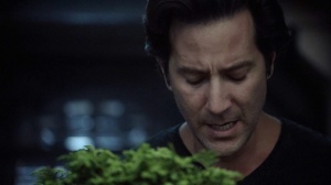 normal_the100_107_1229.jpg
