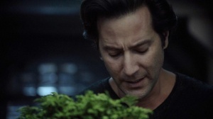 normal_the100_107_1235.jpg