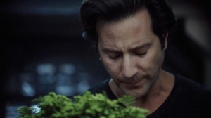 normal_the100_107_1236.jpg