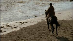 2000_acres_of_sky_025.jpg